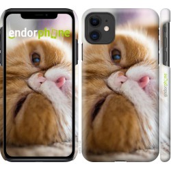 Чохол "Смішний перський кіт" на iPhone 11