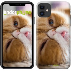 Чохол "Смішний перський кіт" на iPhone 11